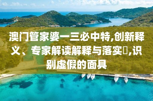 澳门管家婆一三必中特,创新释义、专家解读解释与落实​,识别虚假的面具