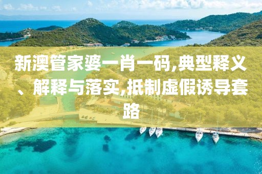 新澳管家婆一肖一码,典型释义、解释与落实,抵制虚假诱导套路