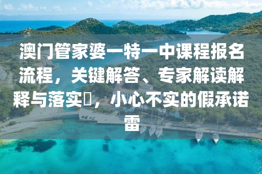 澳门管家婆一特一中课程报名流程，关键解答、专家解读解释与落实​，小心不实的假承诺雷