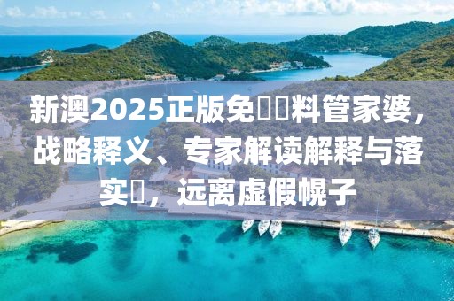 新澳2025正版免費資料管家婆，战略释义、专家解读解释与落实​，远离虚假幌子