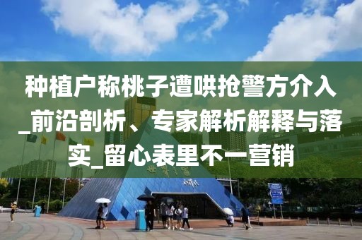 种植户称桃子遭哄抢警方介入_前沿剖析、专家解析解释与落实_留心表里不一营销