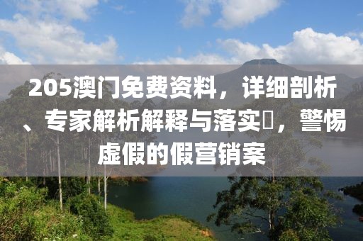 205澳门免费资料，详细剖析、专家解析解释与落实​，警惕虚假的假营销案